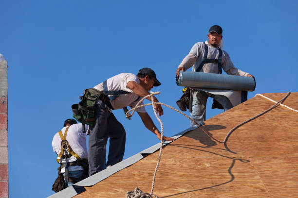 Best Metal Roofing Contractor  in Frontenac, KS